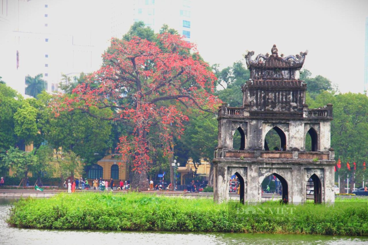 Bong Ha Noi Hostel 하노이 외부 사진